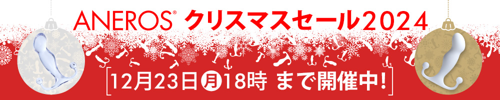 ANEROSクリスマスセール2024